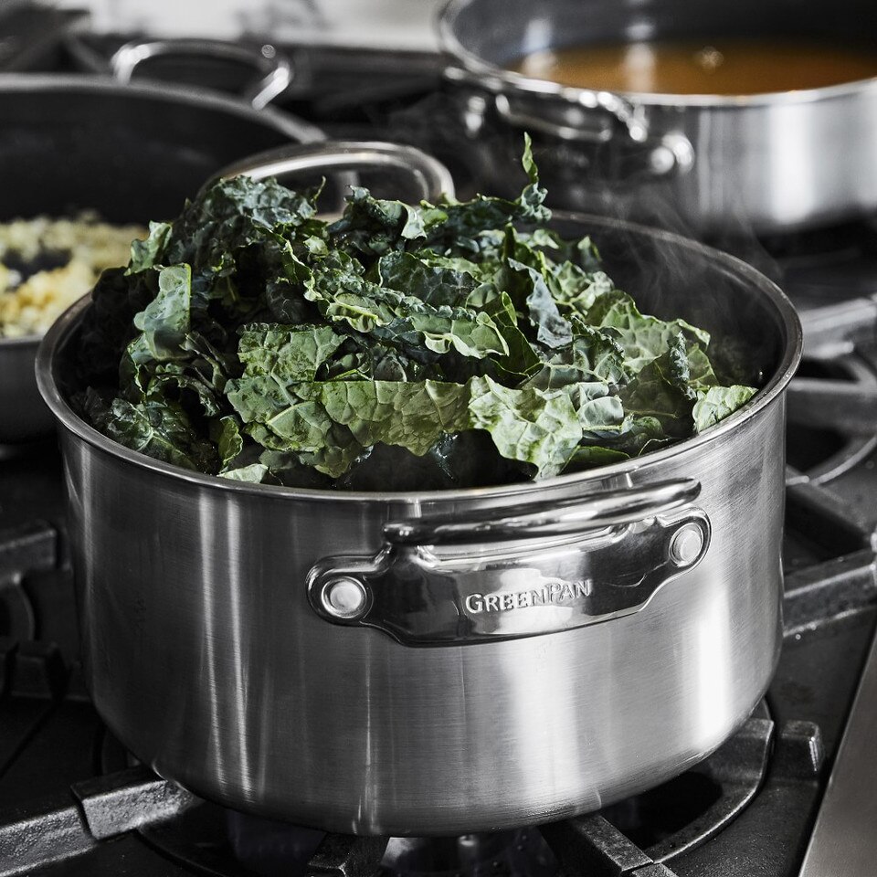 GreenPan™ Premiere Stainless Steel Ceramic NonStick 11Piece Cookware Set Williams Sonoma